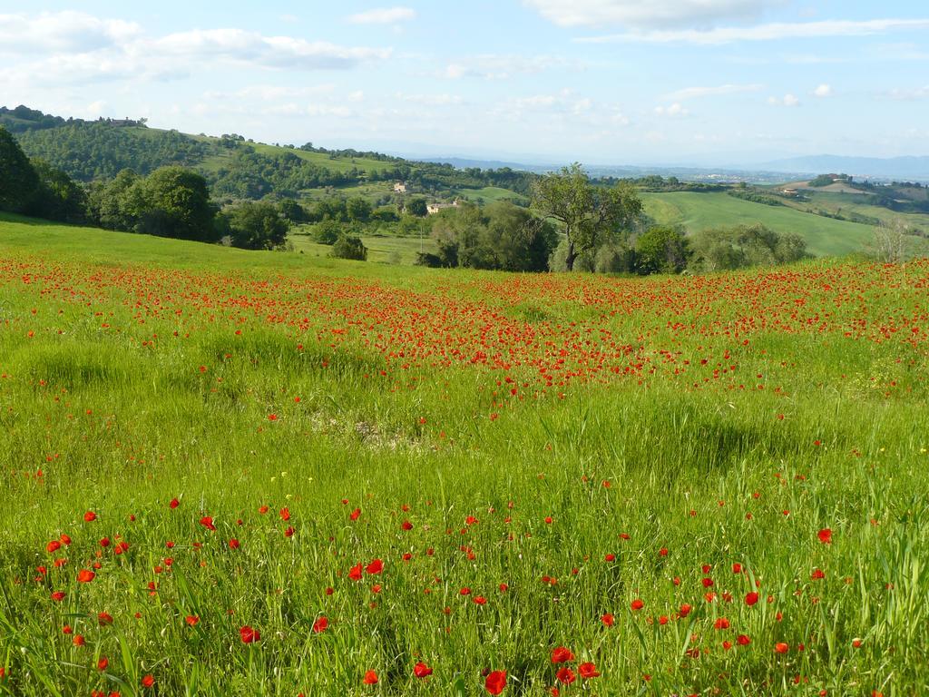 Il Palazzo Dei Diavoli Villa Montepulciano Stazione Eksteriør bilde